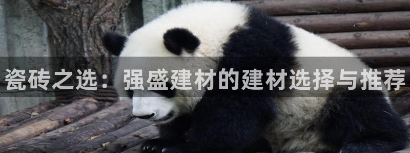 杏鑫平台是黑平台吗