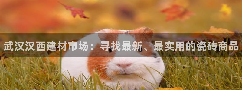 杏鑫娱乐官网下载