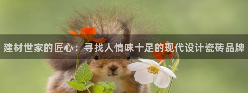 杏鑫代理注册资金多少