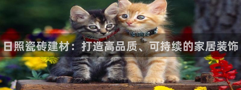 杏鑫平台怎么样