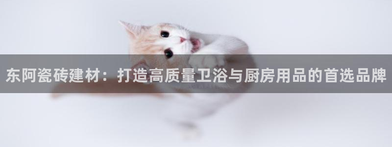 杏鑫平台招商电话号码查询