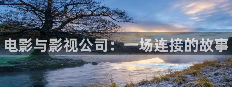 山外人精品影院：电影与影视公司：一场连接的故事