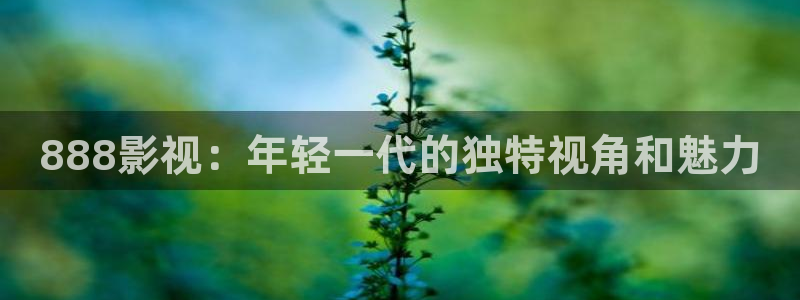 山外人精品影院在线：888影视：年轻一代的独特视角和魅力