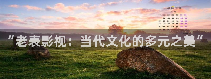 山外人精品影院洋洋av：“老表影视：当代文化的多元之美”