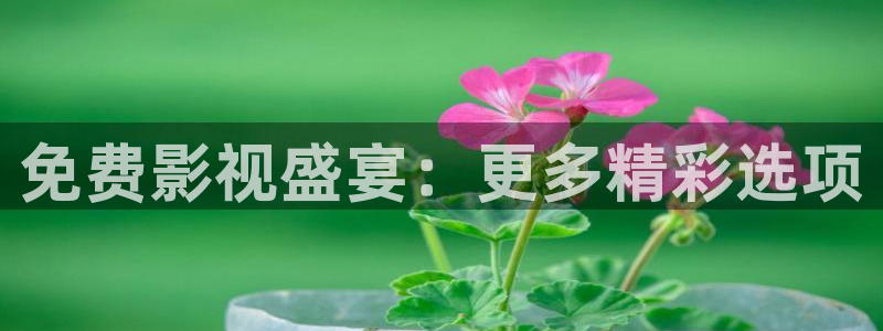 山外人精品影院：免费影视盛宴：更多精彩选项