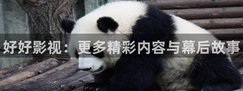 山外人精品影院：好好影视：更多精彩内容与幕后故事