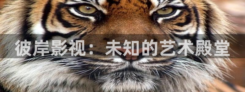 山外人精品影院洋洋av：彼岸影视：未知的艺术殿堂