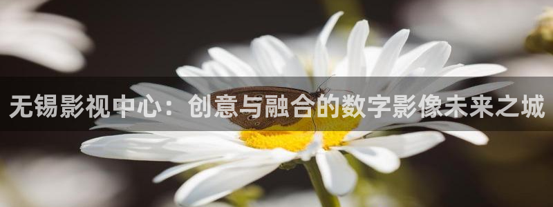 山外人精品影院在线观看：无锡影视中心：创意与融合的数字影像未来之城