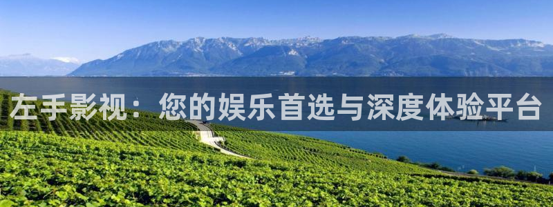 山外人精品影院在线观看：左手影视：您的娱乐首选与深度体验平台