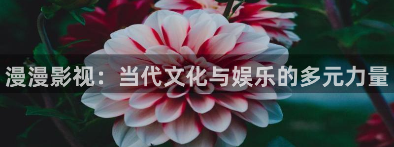 山外人精品影院 6 在线观看：漫漫影视：当代文化与娱乐的多元力量