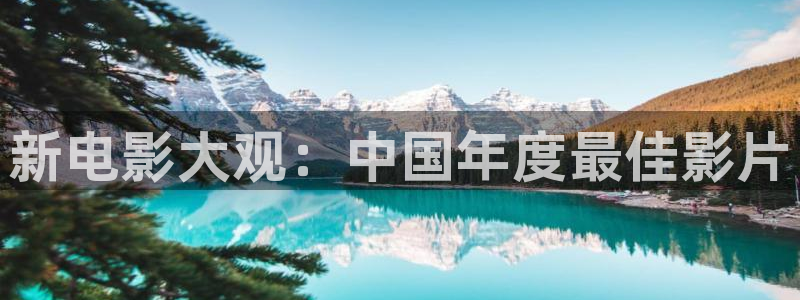山外人精品影院洋洋av：新电影大观：中国年度最佳影片