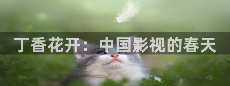 山外人精品影院 6 在线观看：丁香花开：中国影视的春天