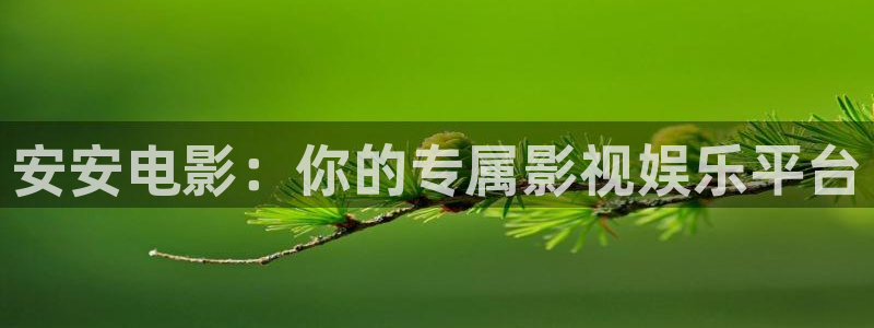 山外人精品影院 6 在线观看：安安电影：你的专属影视娱乐平台