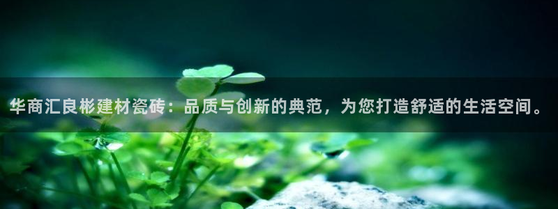 杏鑫娱乐开发团队